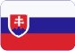 Automatická identifikácia Slovensky